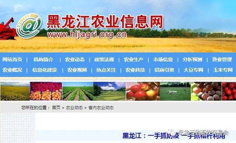 软件外包开发：构建未来科技的力量